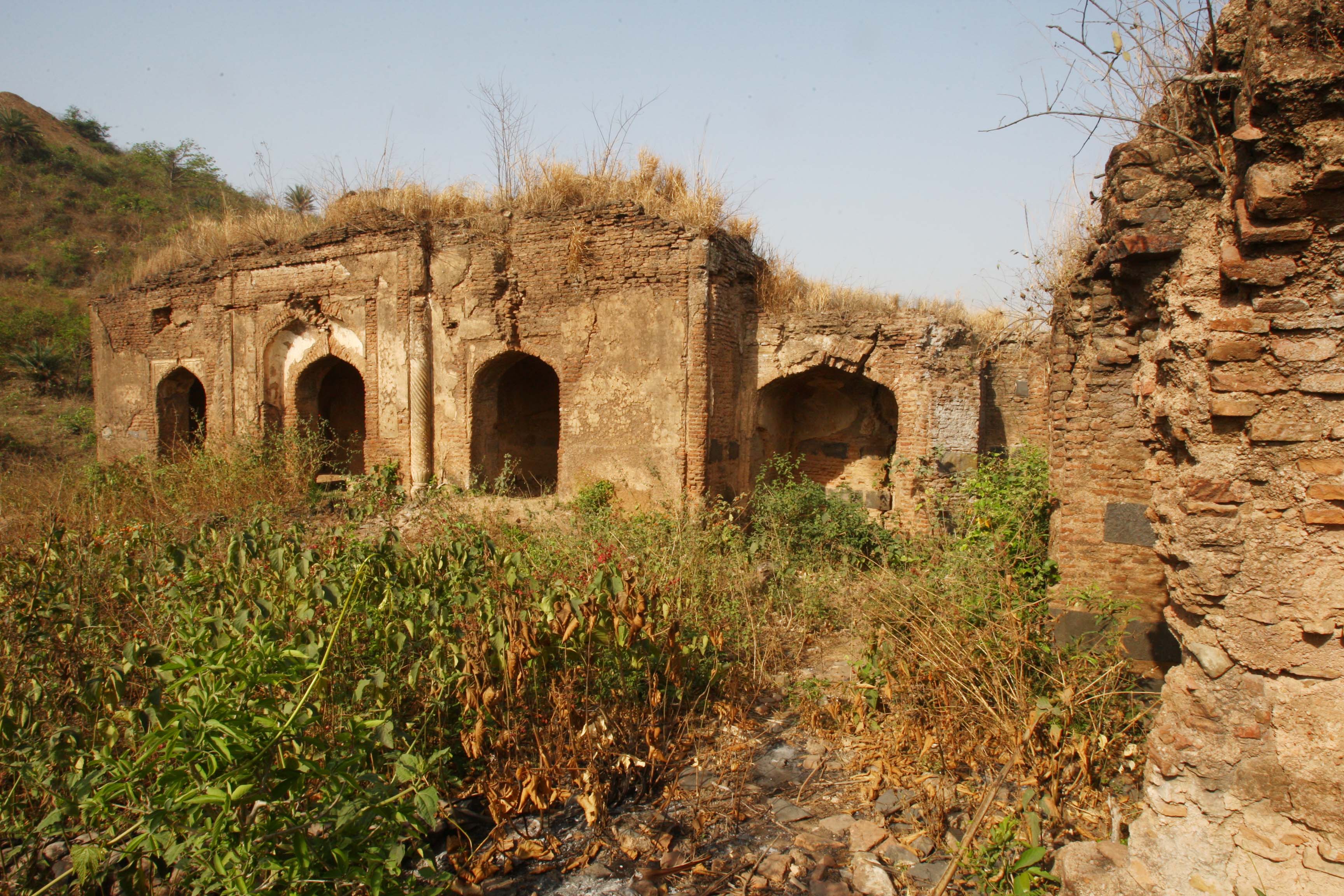 Taliagarhi ruins